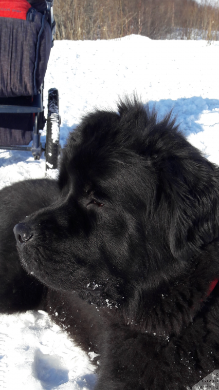 Фотография № 224143