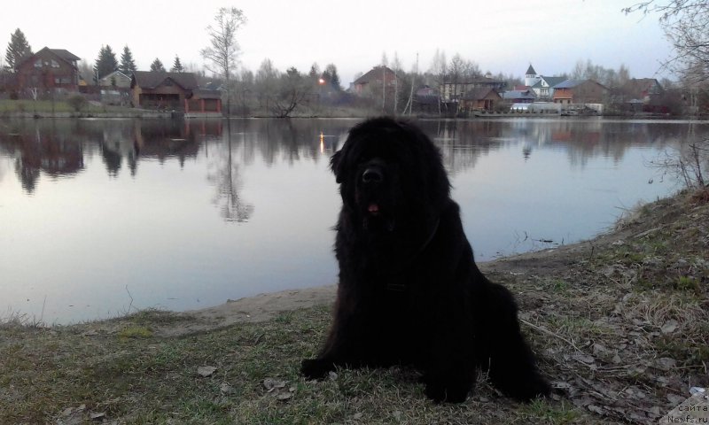 Фотография № 224148