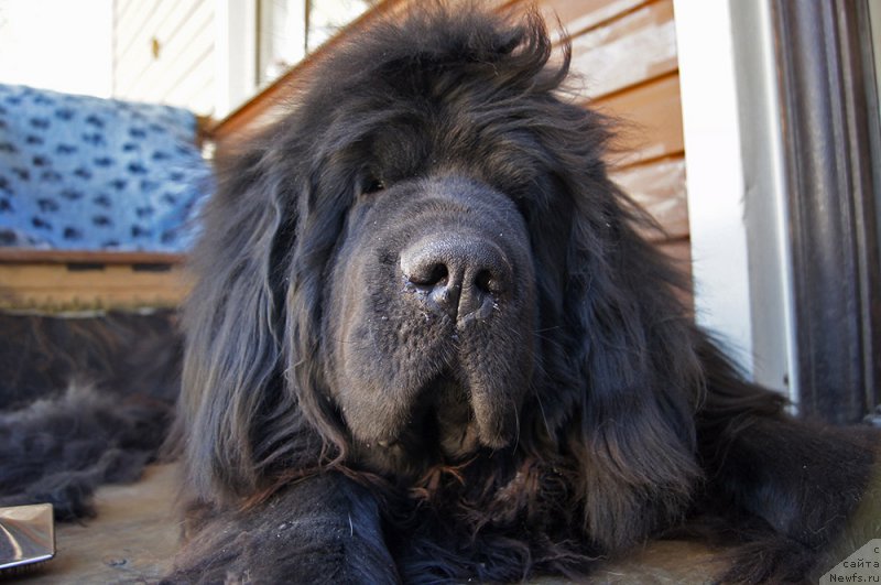 Фотография № 224163