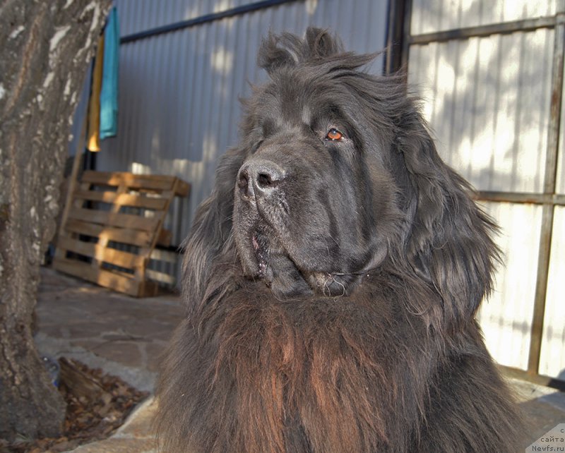 Фотография № 224164