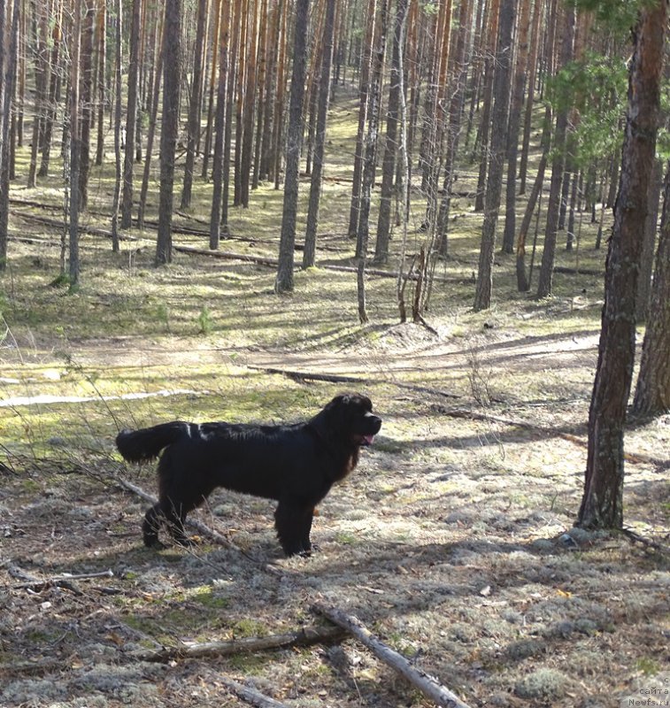 Фотография № 224169