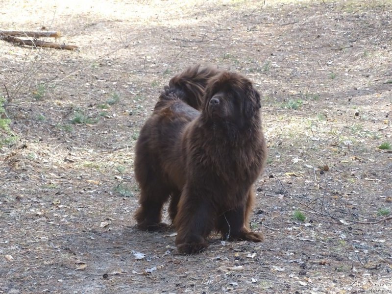 Фотография № 224170