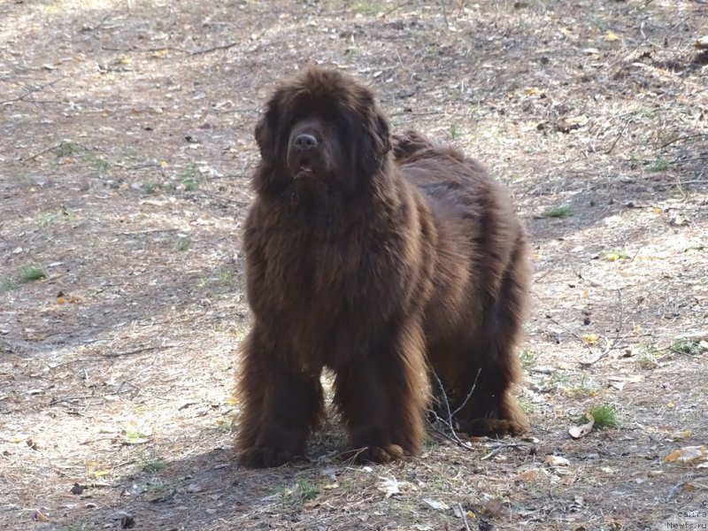 Фотография № 224171