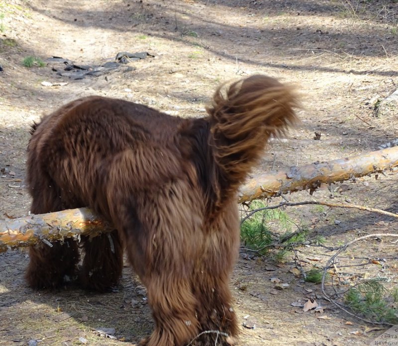 Фотография № 224172