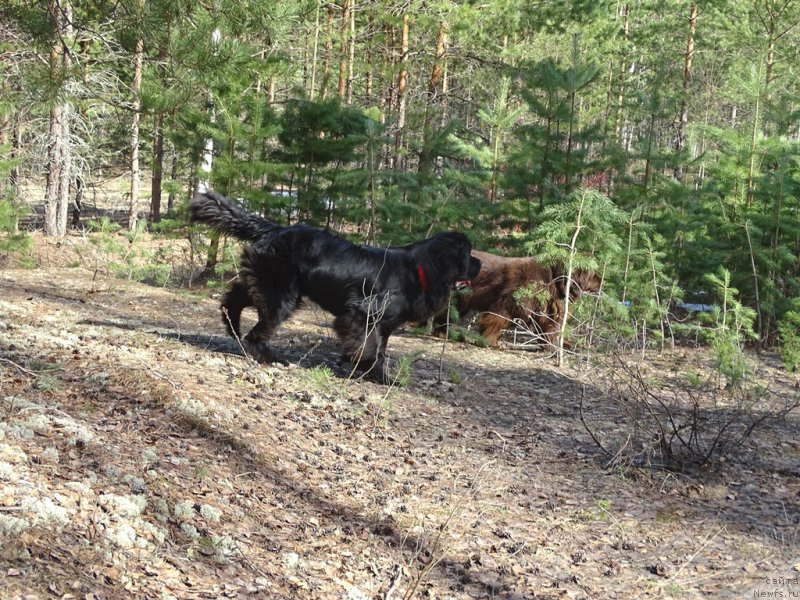 Фотография № 224174