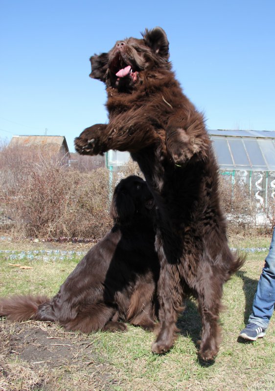 Фотография № 224184