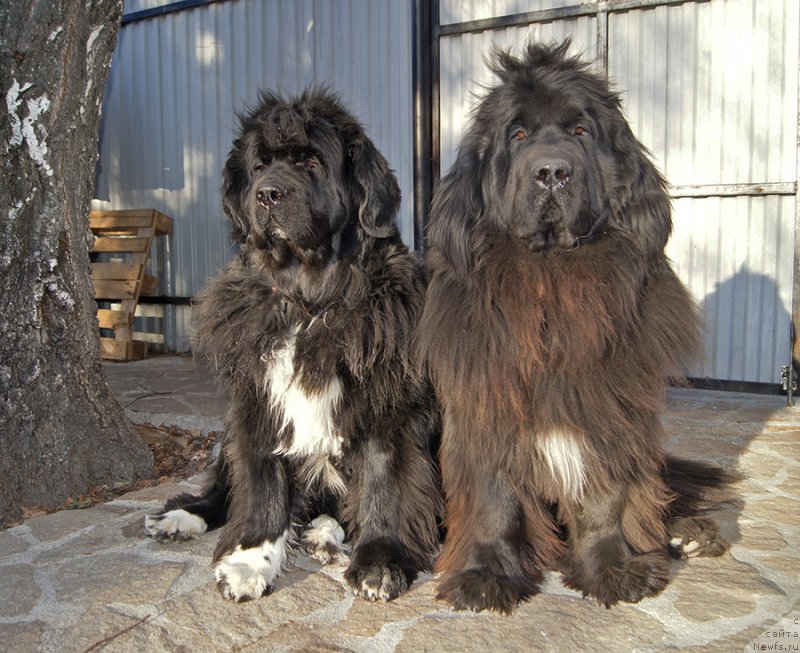 Фотография № 224189