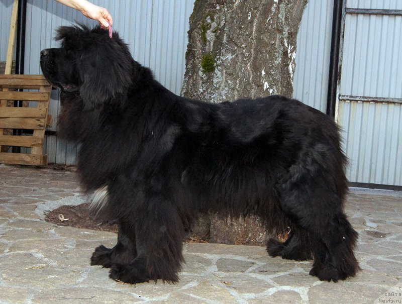 Фотография № 224195