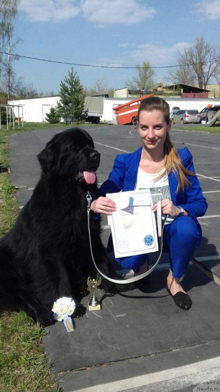 Фотография № 224197