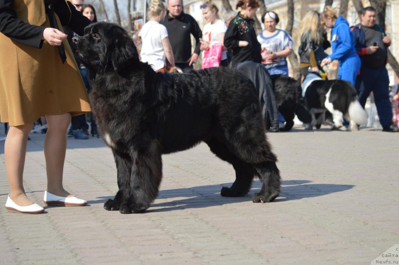 Фотография № 224198