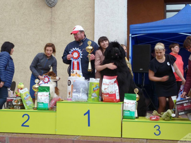 Фотография № 224199