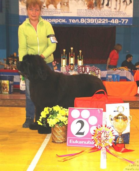 Фотография № 224200