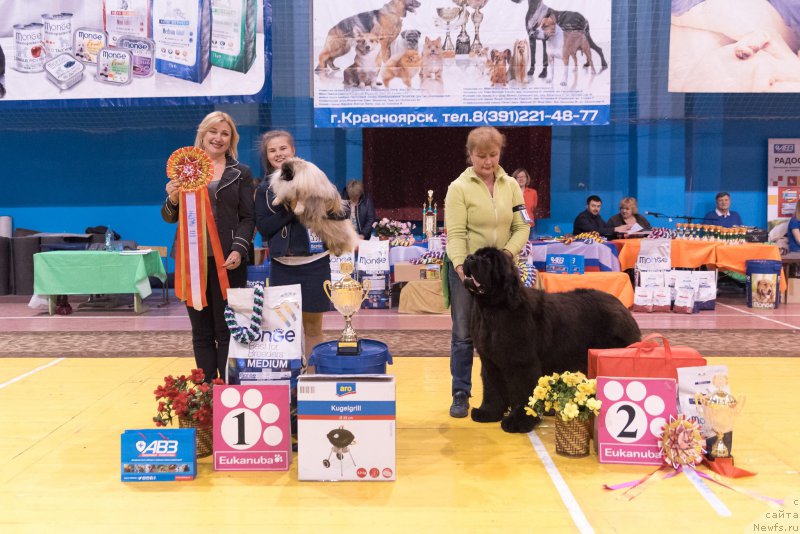 Фотография № 224201