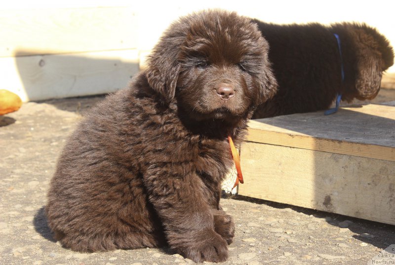 Фотография № 224212