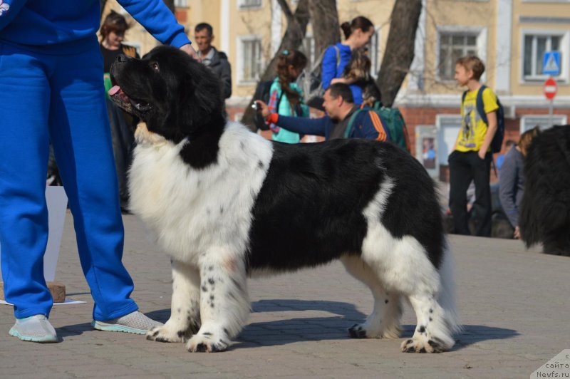 Фотография № 224213