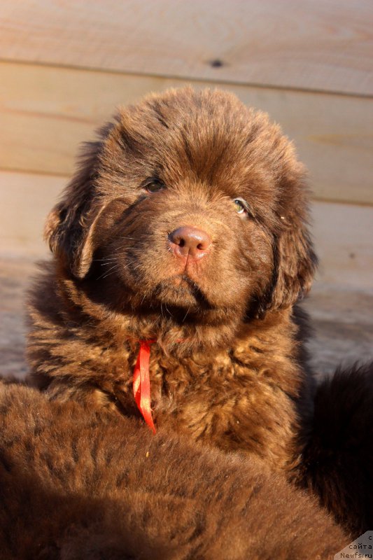 Фотография № 224216