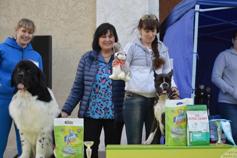 Фотография № 224217