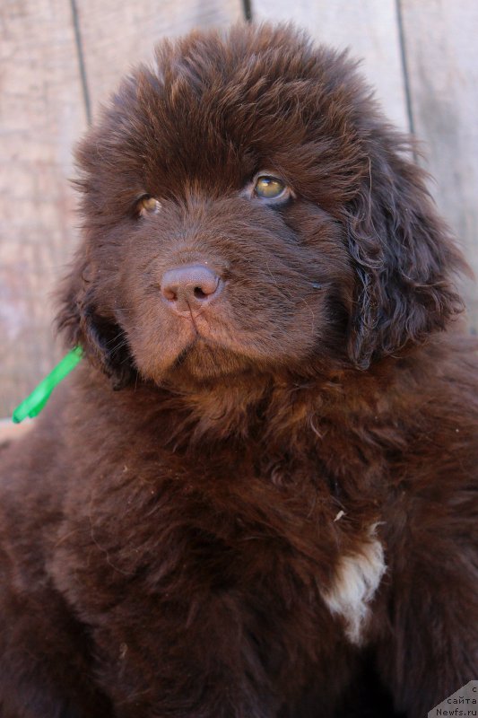 Фотография № 224221