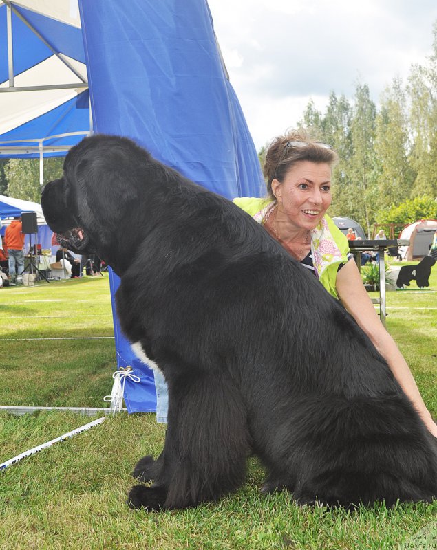 Фотография № 224223