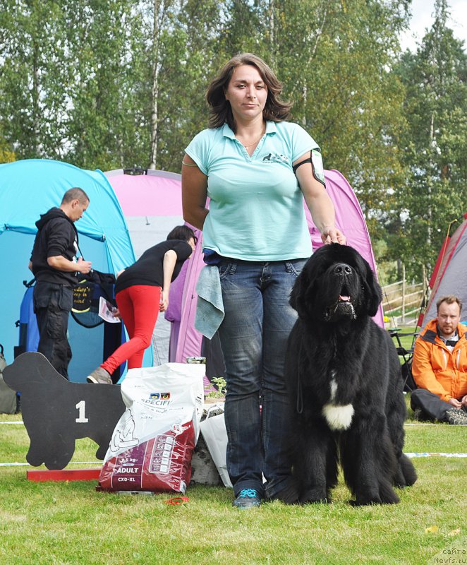 Фотография № 224224