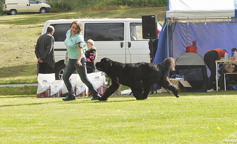 Фотография № 224225