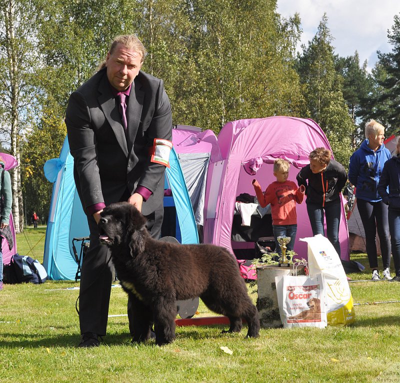 Фотография № 224227