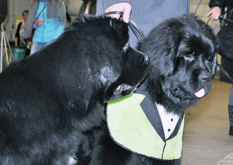 Фотография № 224230