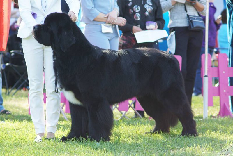 Фотография № 224237