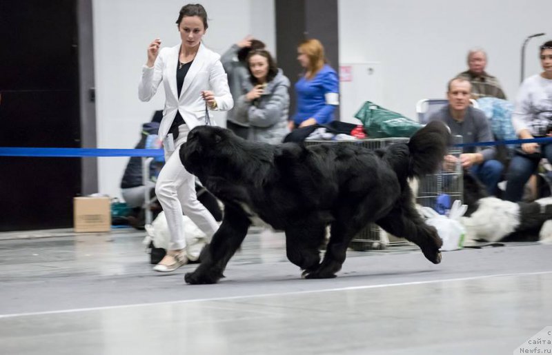 Фотография № 224240