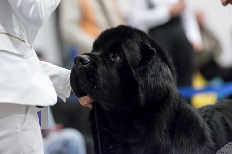 Фотография № 224241