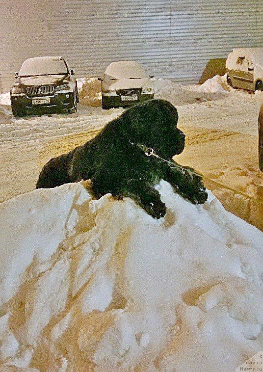 Фотография № 224242