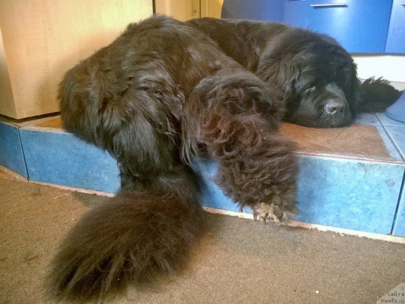 Фотография № 224243