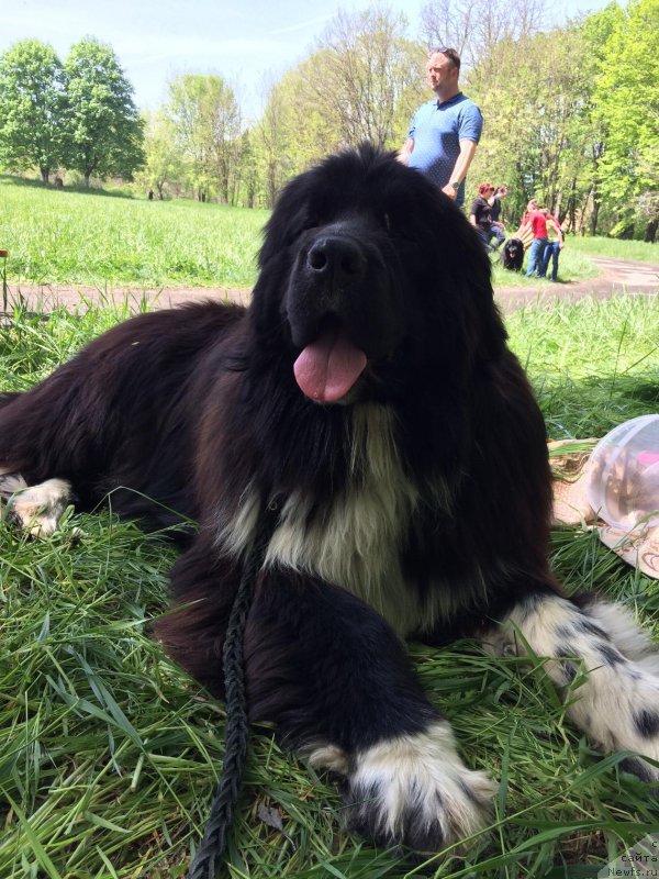 Фотография № 224248