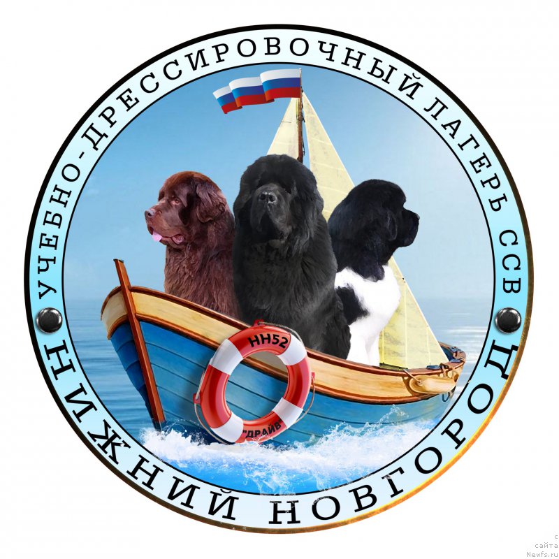 Фотография № 224254