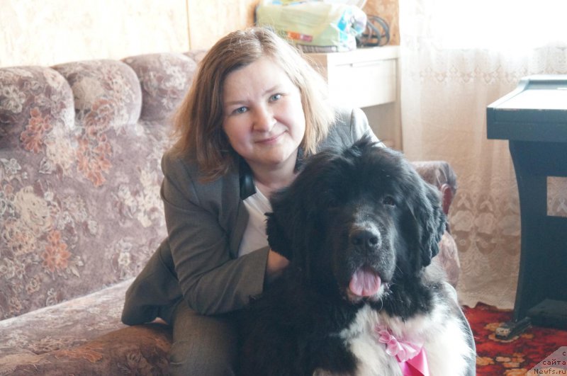 Фото: ньюфаундленд Зоренька Ясная от Сибирского Медведя