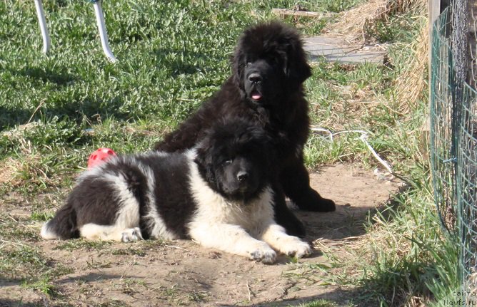 Фотография № 224256