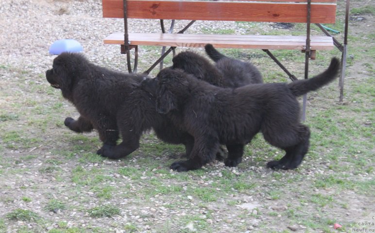 Фотография № 224260