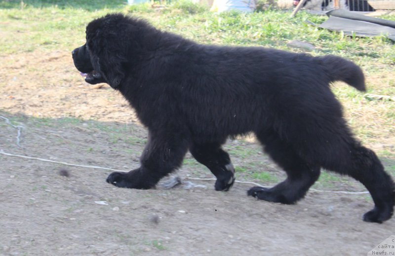 Фотография № 224264