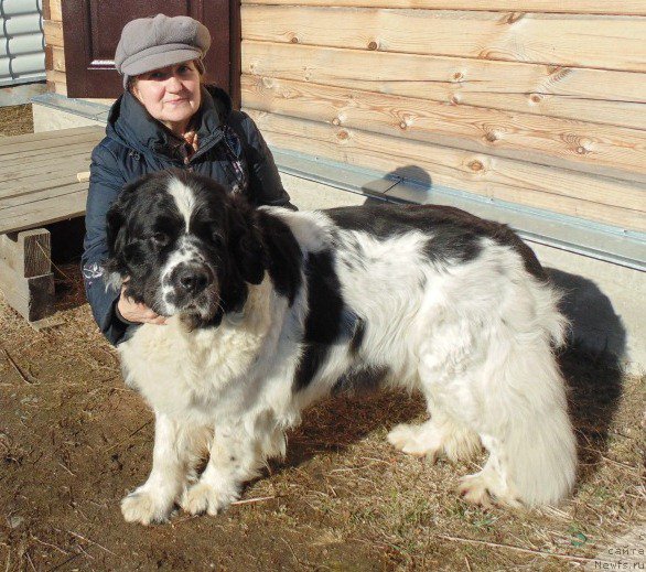 Фотография № 224274