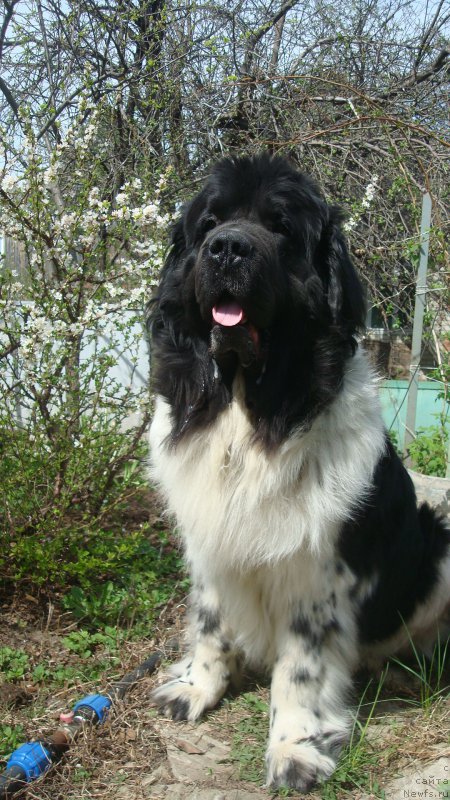 Фотография № 224276