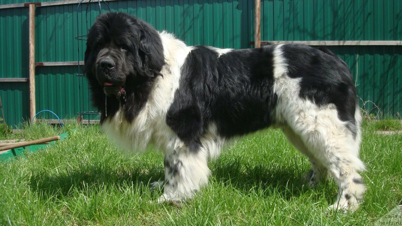 Фотография № 224277