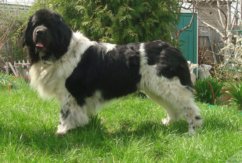 Фотография № 224279