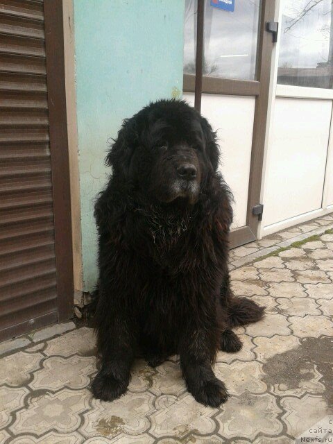 Фотография № 224281