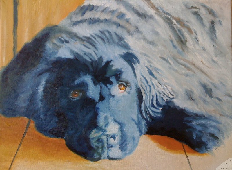 Фотография № 224282