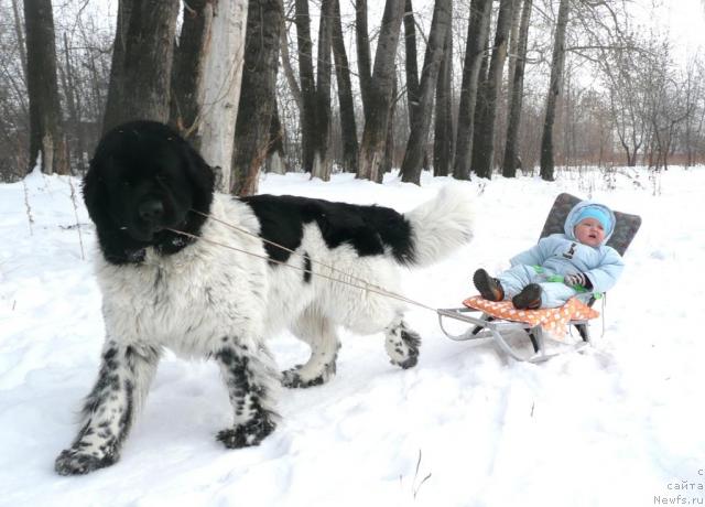 Фотография № 22430