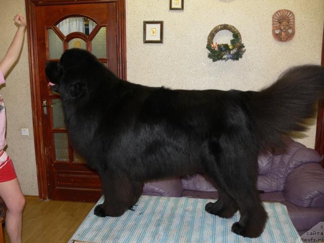 Фотография № 22432