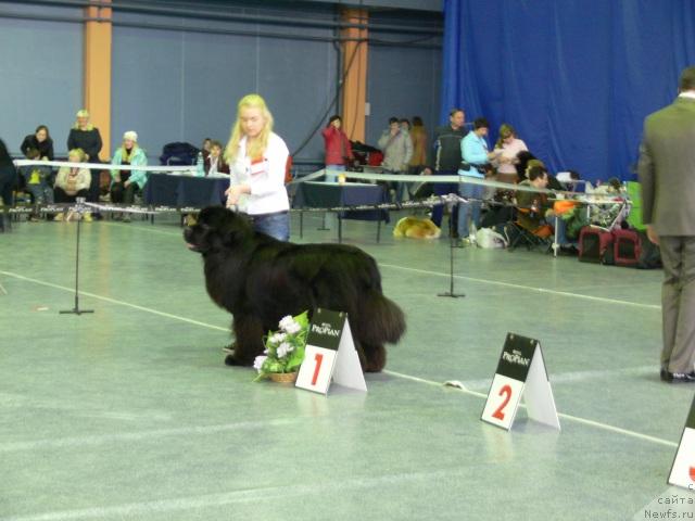 Фотография № 22434