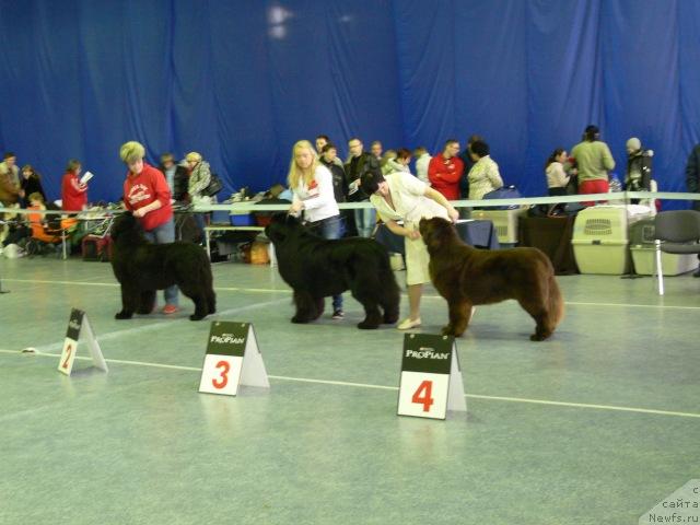 Фотография № 22435