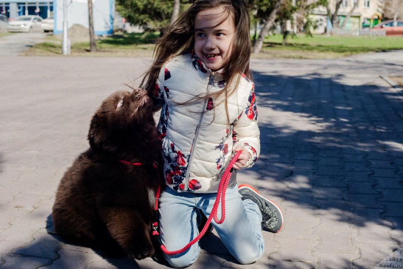 Фотография № 224383