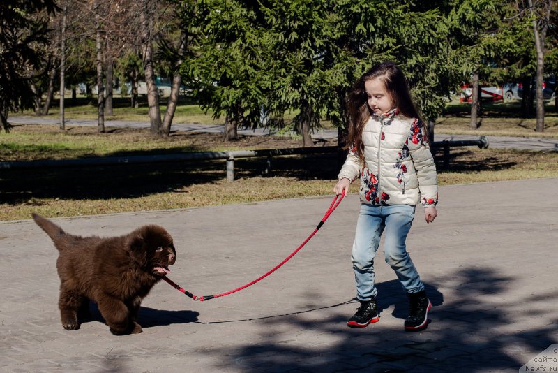 Фотография № 224384